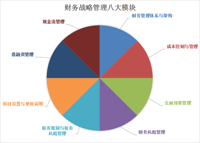 财务总监迈向卓越CFO之路 如何开展企业财务风险管理咨询服务